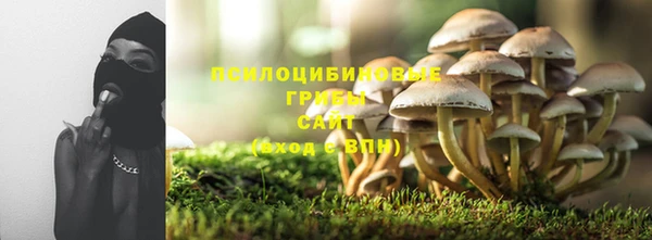 дмт Белокуриха