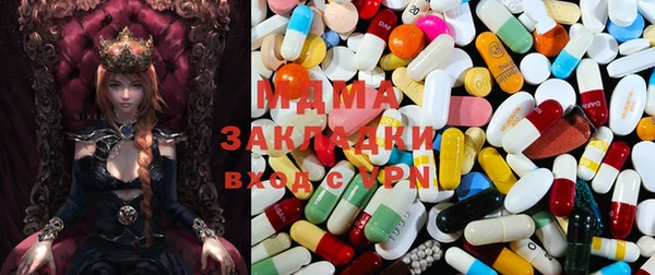 шишки Белоозёрский