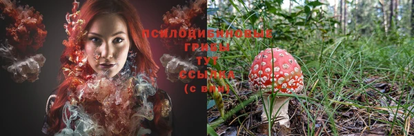 дмт Белокуриха