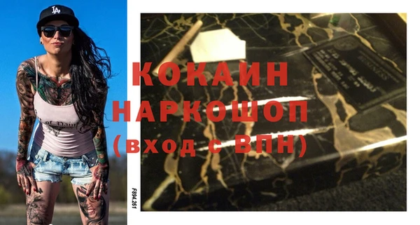 шишки Белоозёрский