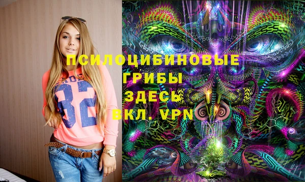 дмт Белокуриха