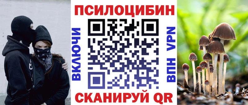omg ССЫЛКА  Александровское  darknet телеграм  Галлюциногенные грибы мухоморы 